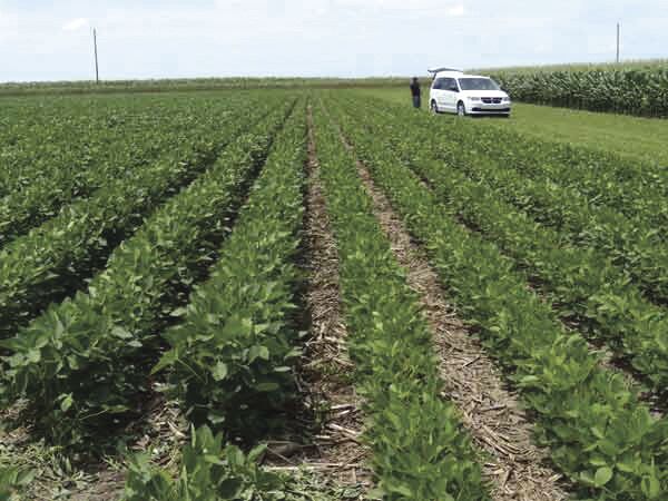 Soybean fertilizers